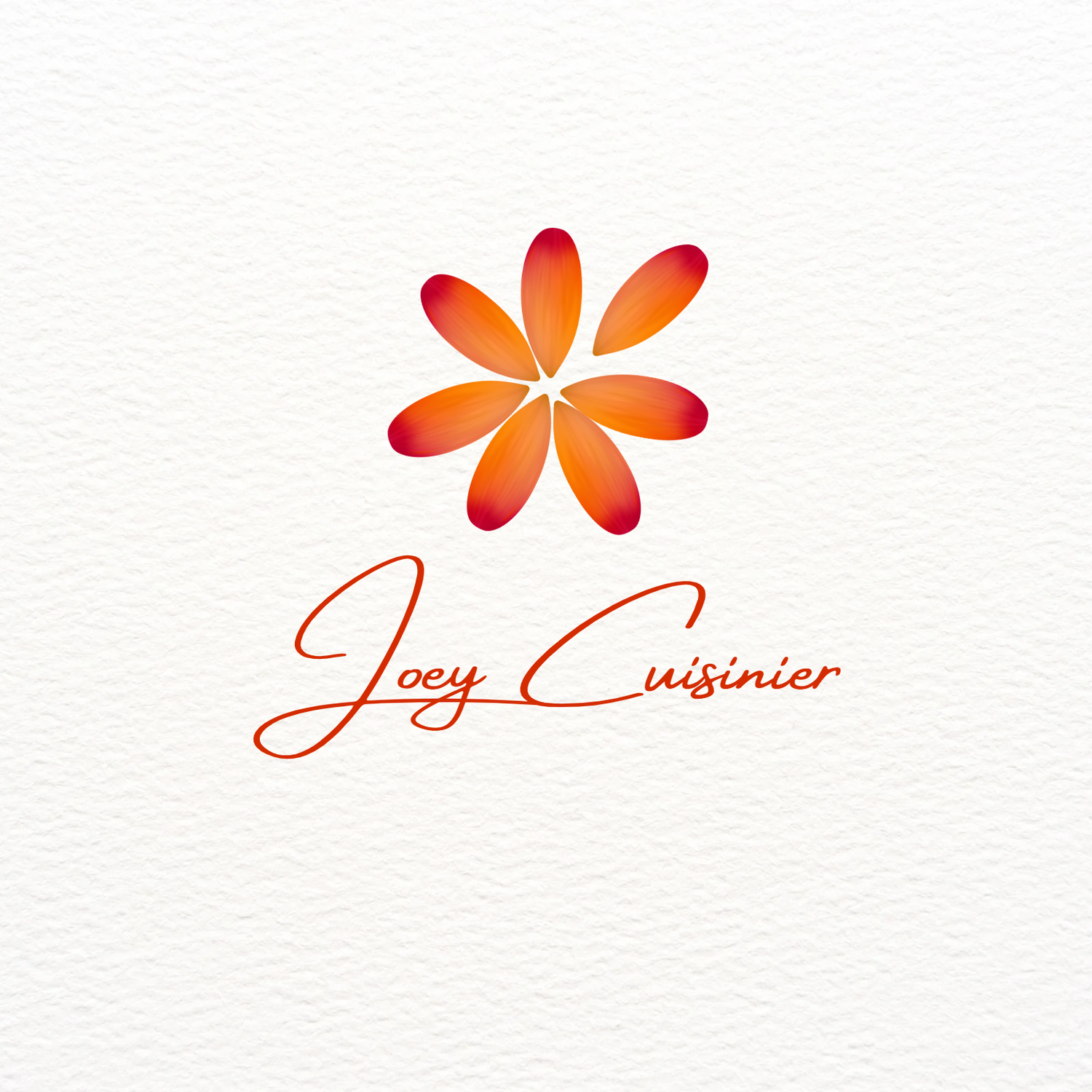Joey_Cuisinier_fond_blanc_chic